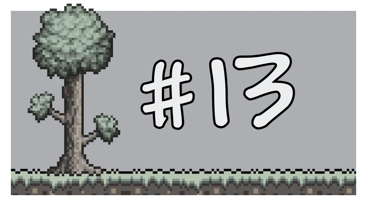 第13期