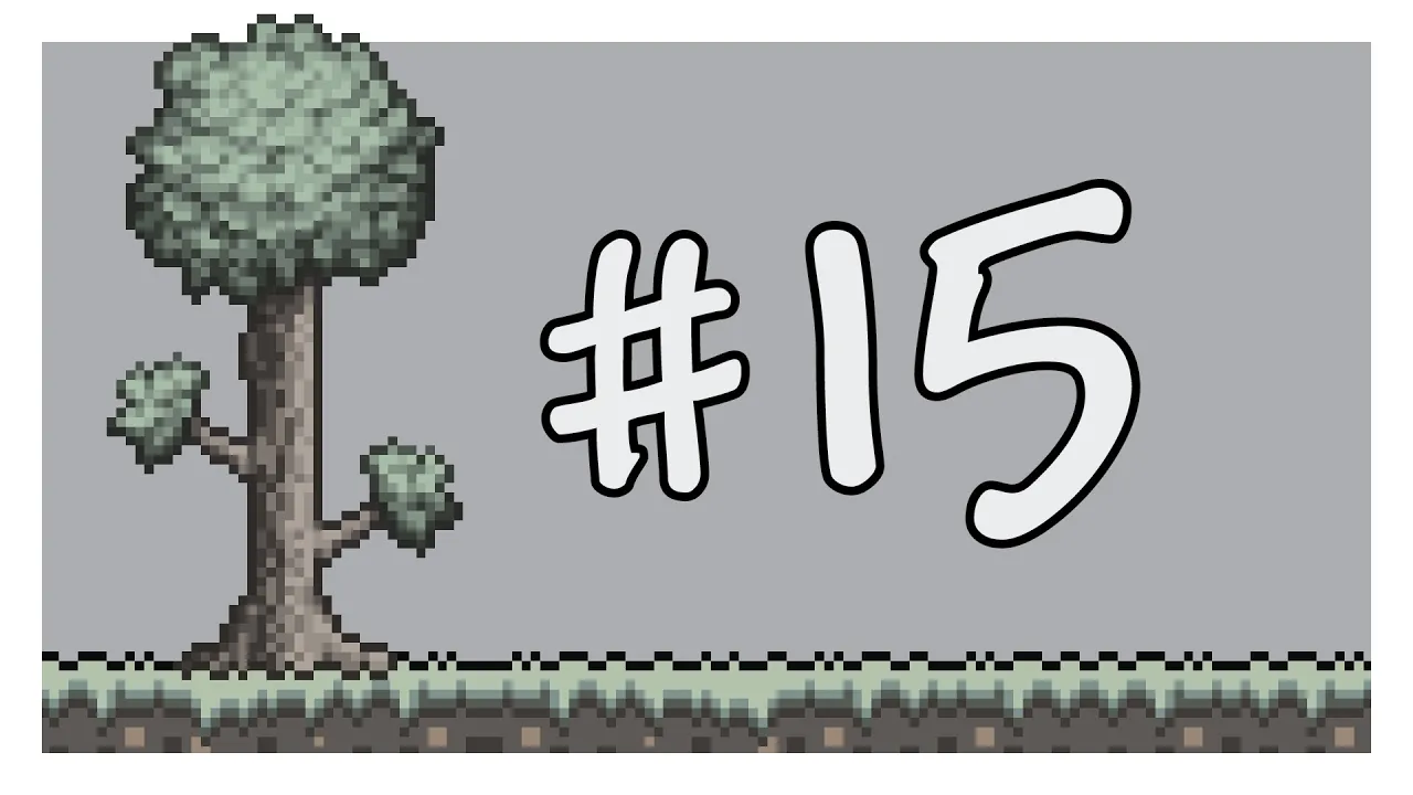 第15期