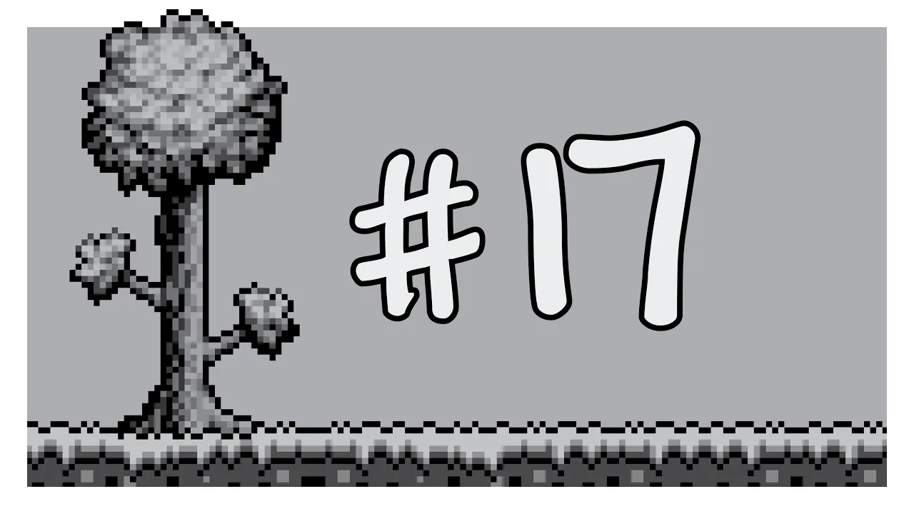 第17期