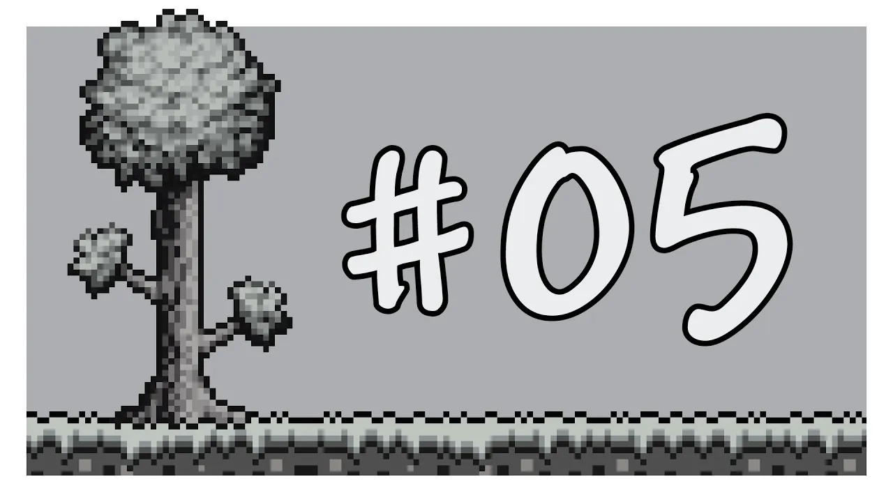 第5期
