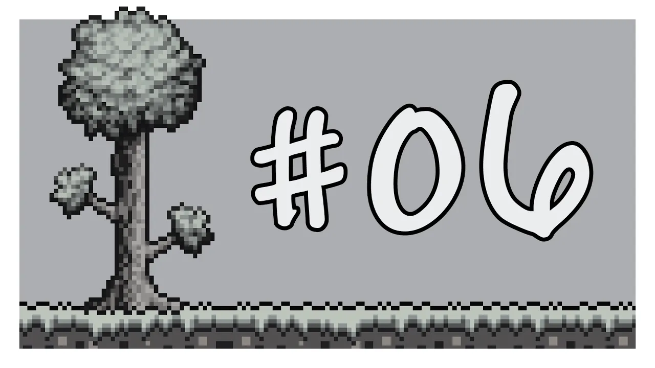 第6期