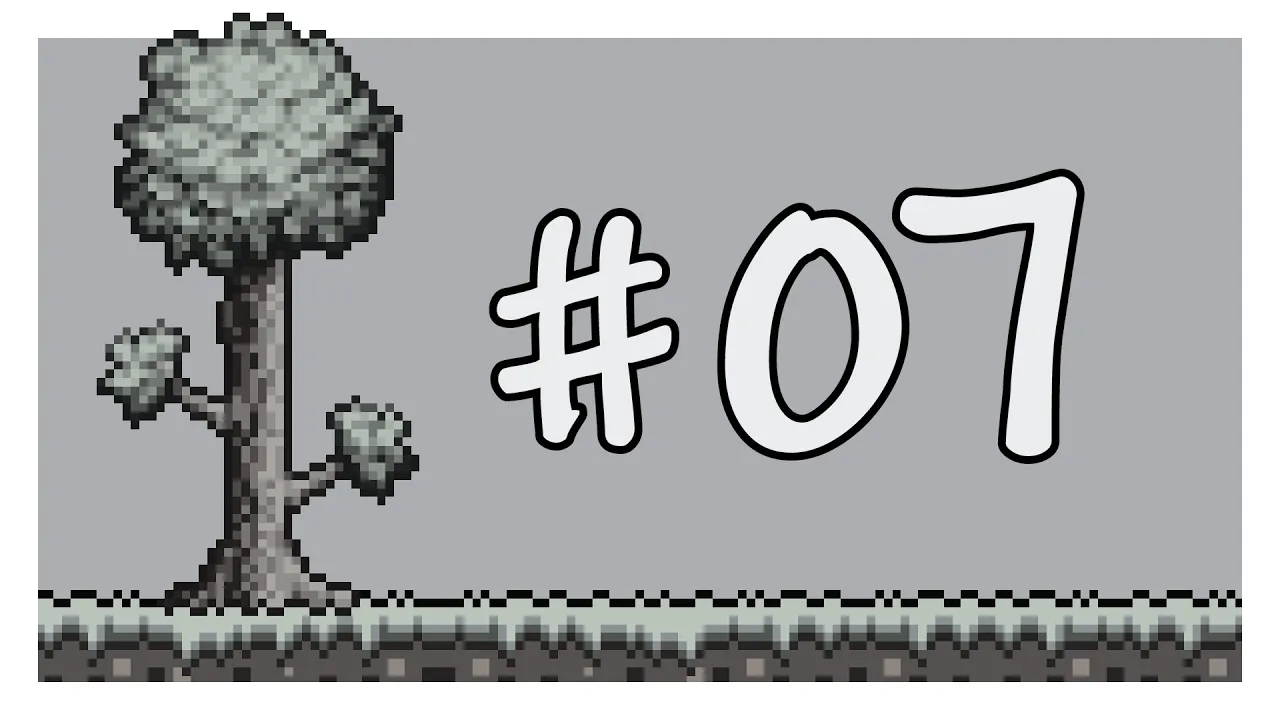 第7期