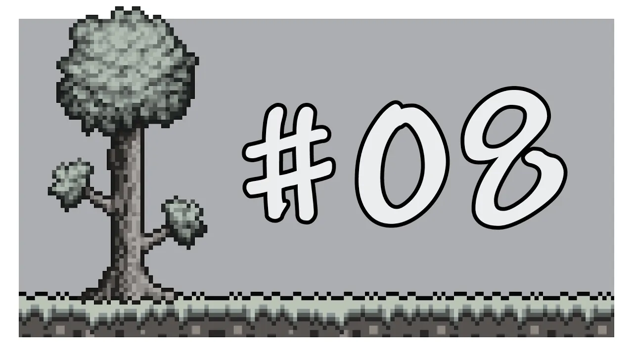 第8期