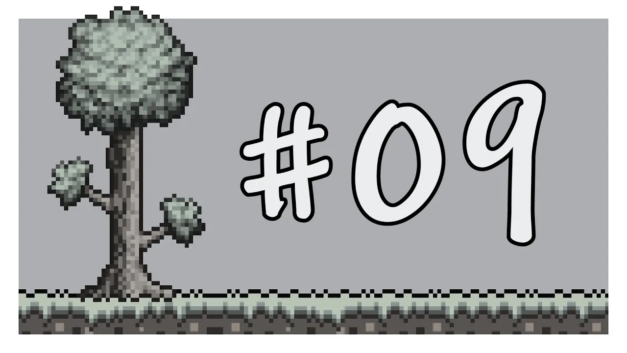 第9期